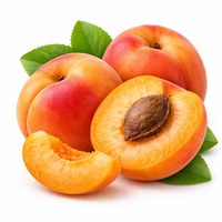Apricot
