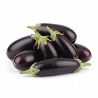 Brinjal