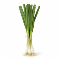 Spring Onion
