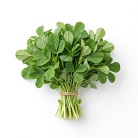 Fenugreek leaves