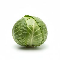 Cabbage