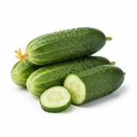 Cucumber
