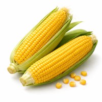 corn